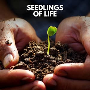 Seedlings of Life - Sounds of Nature Noise