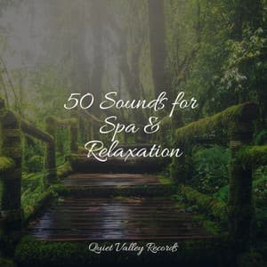50 Sounds for Spa & Relaxation - Rainfall