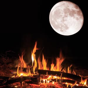 Tranquil Pyres: Meditations by the Fire - Pinetree Way