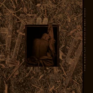 Live From the Fallout Shelter, 1986 - Pixies