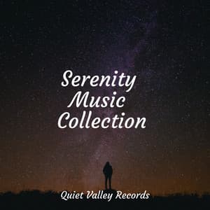 Serenity Music Collection - Relaxation Sleep Meditation