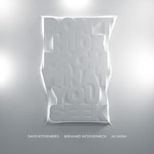 Don't Hide from What You Seek - Bernhard Wöstheinrich