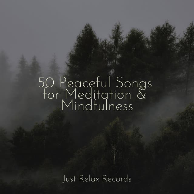 50 Peaceful Songs for Meditation & Mindfulness - Drowsy Cloud