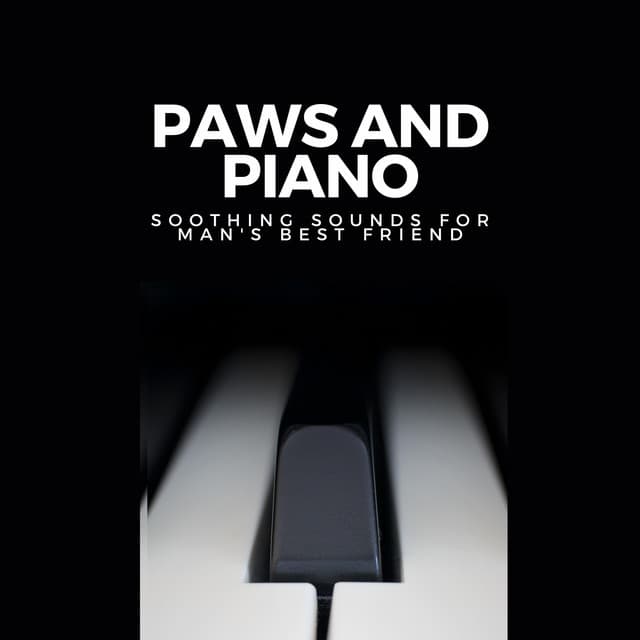 Paws and Piano: Soothing Sounds for Man's Best Friend - Relaxing Piano Music Cool