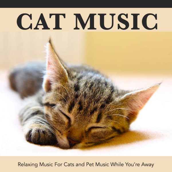Pet Music