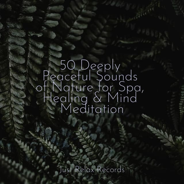 50 Deeply Peaceful Sounds of Nature for Spa, Healing & Mind Meditation - Musica de Relajación Academy