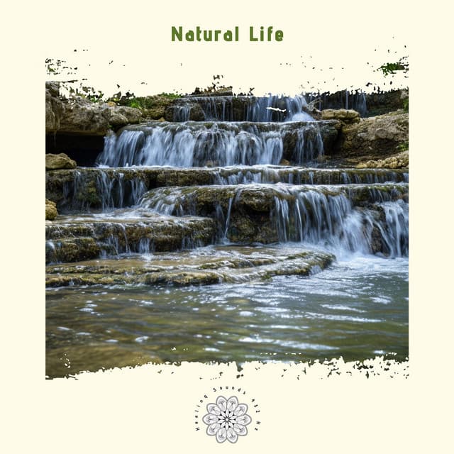 Natural Life: Harmonizing with the Earth’s Rhythms - Healing Sounds 432 Hz