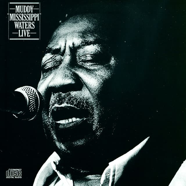 Live - Muddy Waters