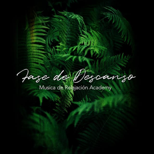 Fase de Descanso - Musica de Relajación Academy