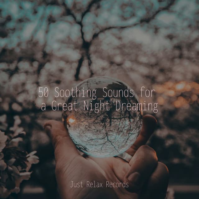 50 Soothing Sounds for a Great Night Dreaming - Relajacion Del Mar