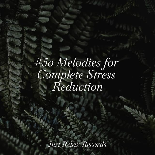 #50 Melodies for Complete Stress Reduction - Musica para Meditar