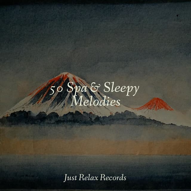 50 Spa & Sleepy Melodies - Rest & Relax Nature Sounds Artists