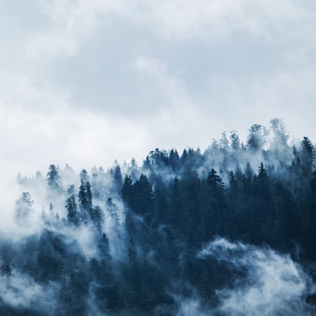 50 Relaxing Songs for Deep Relaxation - Rain Sounds & Nature Sounds