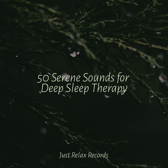 50 Serene Sounds for Deep Sleep Therapy - Kinderliederbande