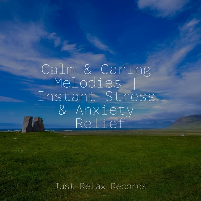 Calm & Caring Melodies | Instant Stress & Anxiety Relief - Chinese Relaxation and Meditation