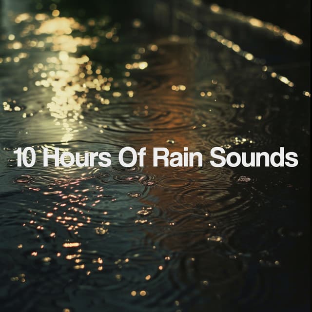 10 Hours Of Rain Sounds - Meditation Rain Sounds