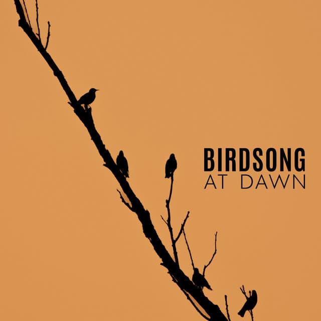 Birdsong at Dawn: Sleepy Instrumental Music with Nature Soundscapes for Relaxation - Bird Sounds