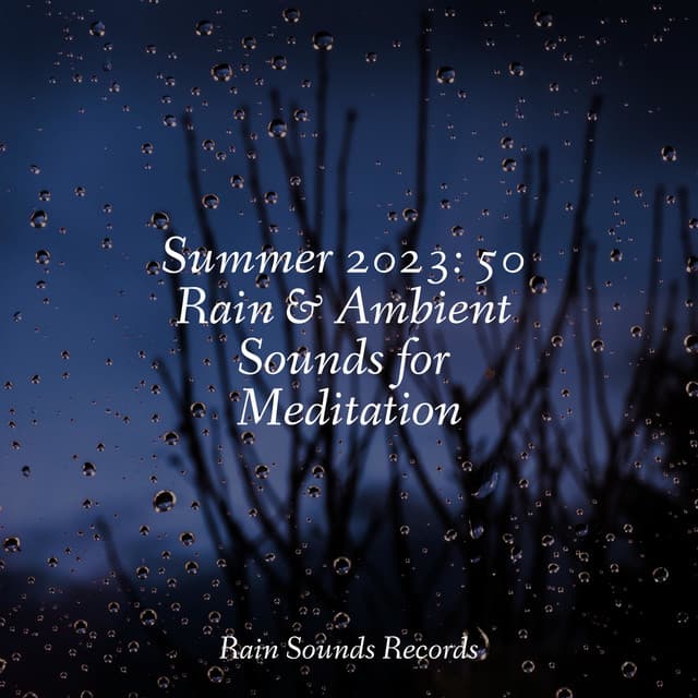 Summer 2023: 50 Rain & Ambient Sounds for Meditation - Sons da Natureza