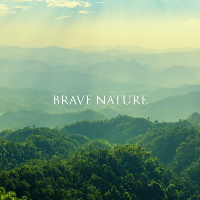 Brave Nature: Listen to Nature, Opening the Mind, Beautiful Sounds of Forest, Birds, Waves - Relaxing Nature Sounds Collection