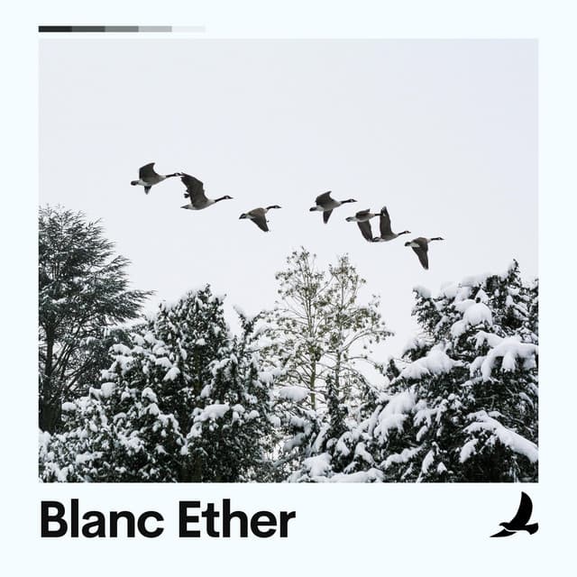 Blanc Ether - Loopable White Noise