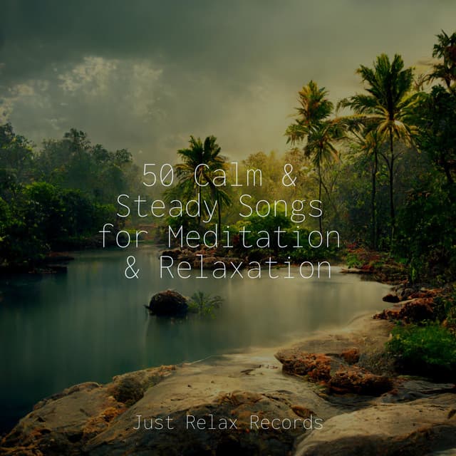 50 Calm & Steady Songs for Meditation & Relaxation - Kinderliederbande