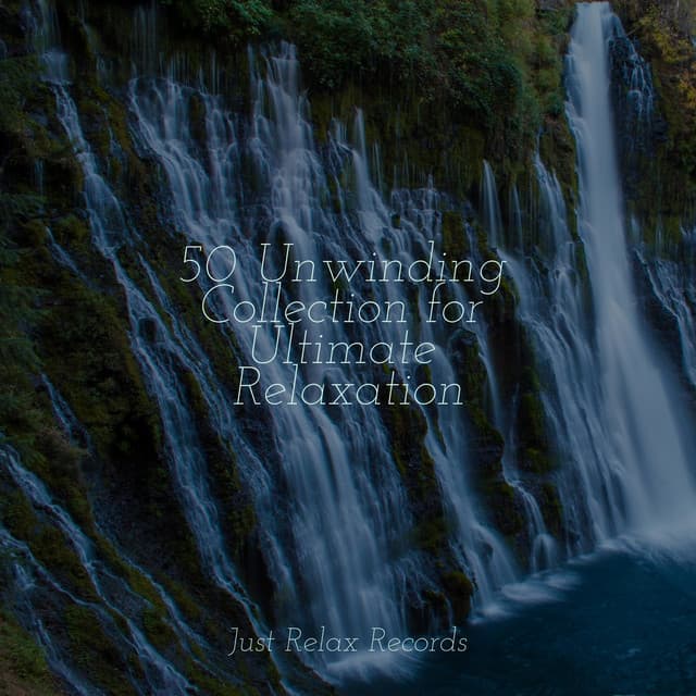 50 Unwinding Collection for Ultimate Relaxation - Best Relaxing SPA Music