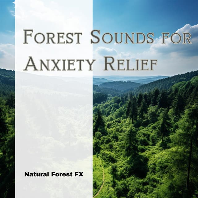 Forest Sounds for Anxiety Relief - Natural Forest FX