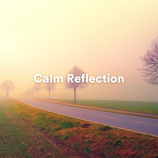 Calm Reflection - Reiki Healing Zone