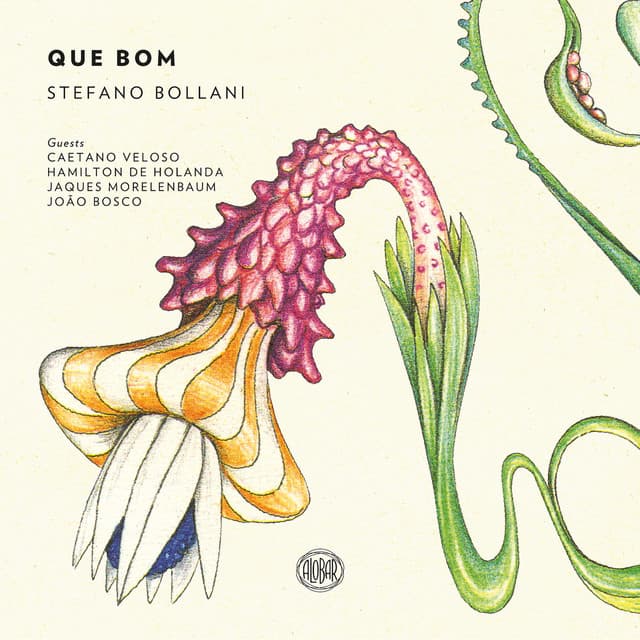 Que Bom - Stefano Bollani