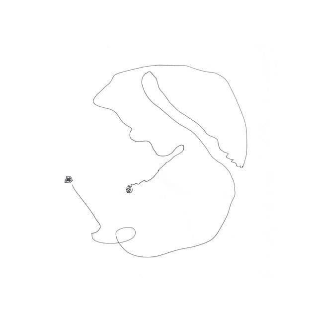 SPIRIT SPIRIT - Torben Snekkestad