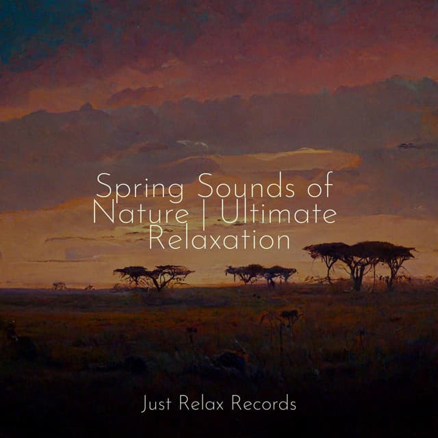 Spring Sounds of Nature | Ultimate Relaxation - Música relaxante