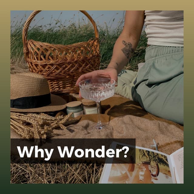 Why Wonder? - Lullabies for Deep Meditation