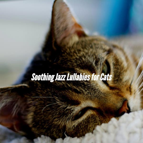 Soothing Jazz Lullabies for Cats - Lounge Chillout