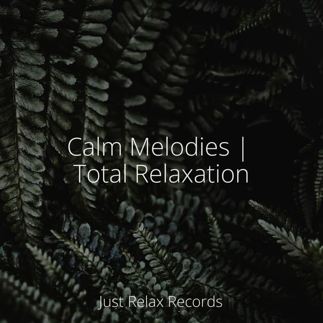 Calm Melodies | Total Relaxation - Thunderstorm Sound Bank