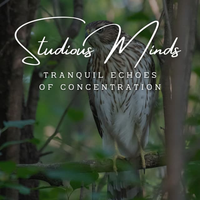 Harmonic Intellect: Meditative Piano for Studious Minds - Piano Project