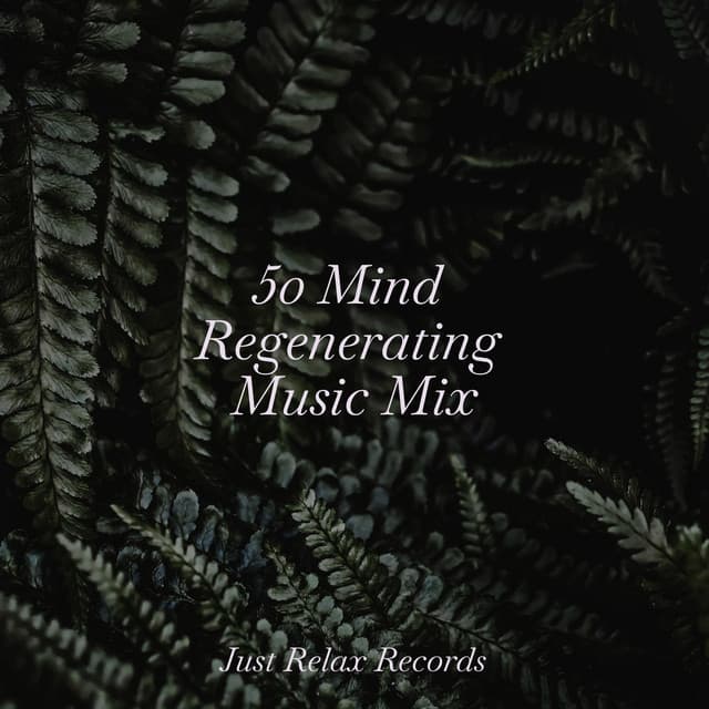50 Mind Regenerating Music Mix - Yoga Sounds