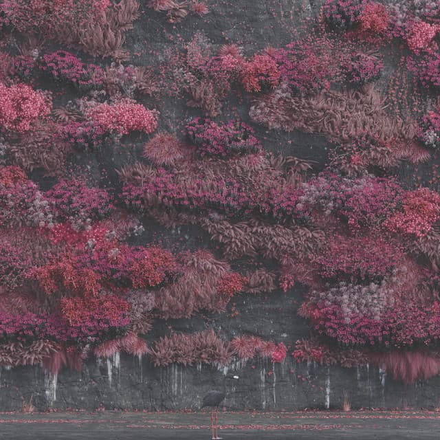 Even In Arcadia - Sleep Token