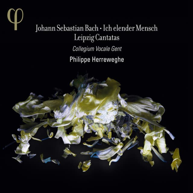 Bach: Ich elender Mensch & Leipzig Cantatas - Johann Sebastian Bach