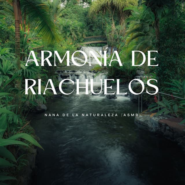 Armonía De Riachuelos: Nana De La Naturaleza - Naturaleza Sueño