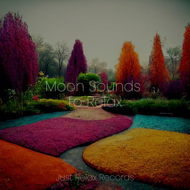 Moon Sounds to Relax - Brain Study Music Guys