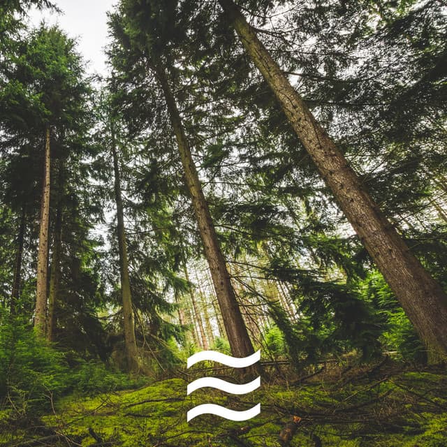 Womb Sounds Heartbeat For Better Infant's Sleep - Womb Sounds Heartbeat