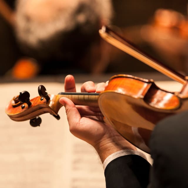 Quiet Orchestra: Music for Meditation - Charles Anderson