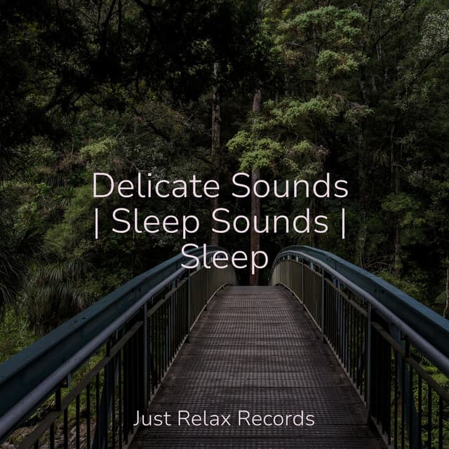 Delicate Sounds | Sleep Sounds | Sleep - Musica Romantica Ensemble
