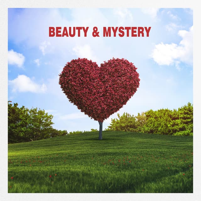 Beauty & Mystery - Universal Connection