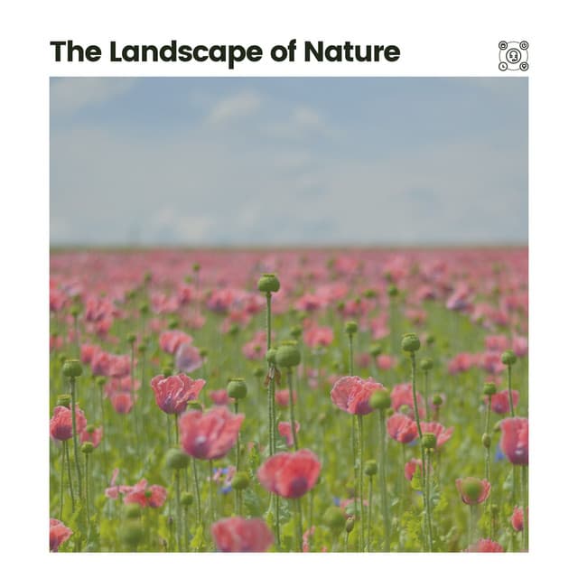 The Landscape of Nature - Sounds of Nature Noise