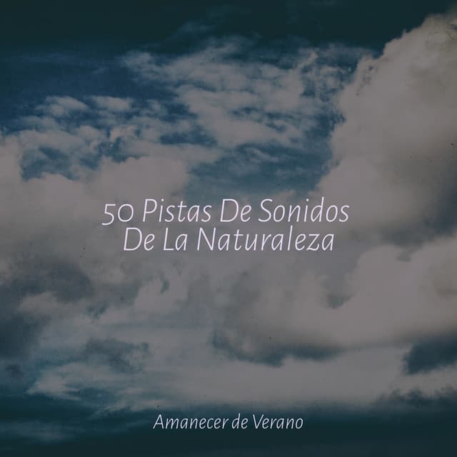 50 Pistas De Sonidos De La Naturaleza - Lullabies for Deep Meditation
