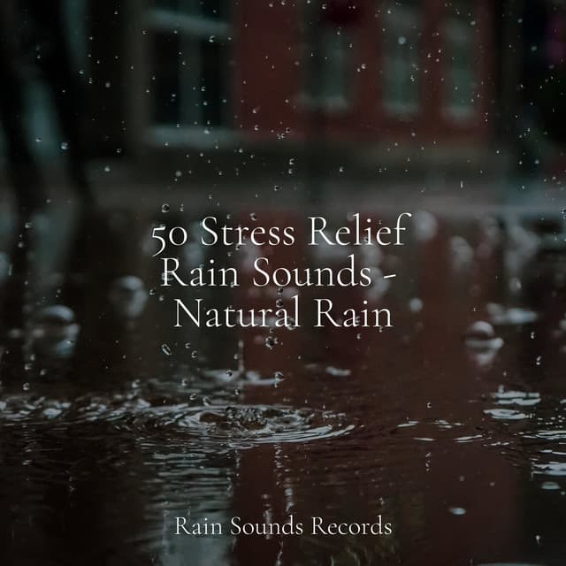 50 Stress Relief Rain Sounds - Natural Rain - Pro Sound Effects Library
