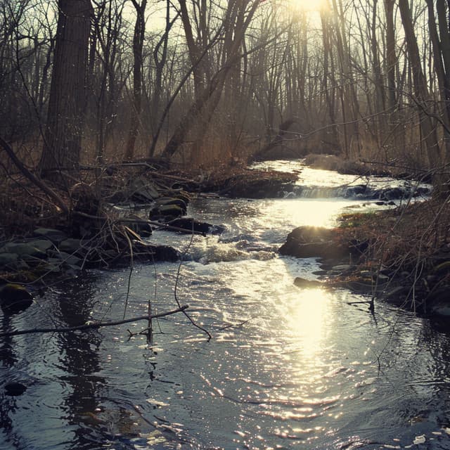 Ritmos Binaurales Para El Sueño Nocturno Reparador - Canción Nocturna
