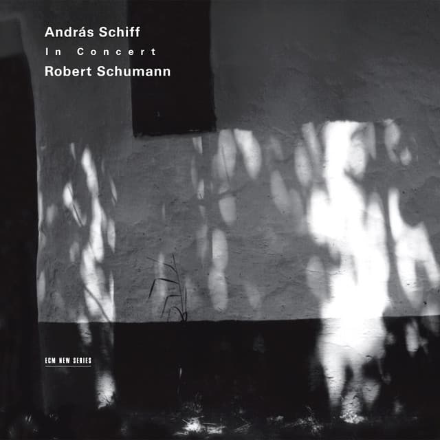 Schumann: András Schiff in Concert - Robert Schumann