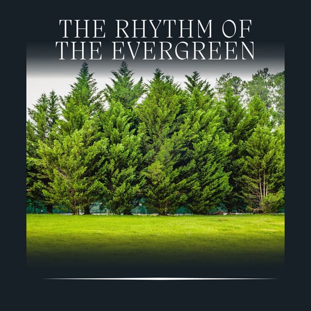 The Rhythm of the Evergreen - Nature Label